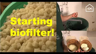Starting biofilter! (without fish)