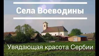 Путешествие в Сербию (часть 1): села Воеводины // Trip to Serbia (part 1): villages of Vojvodina