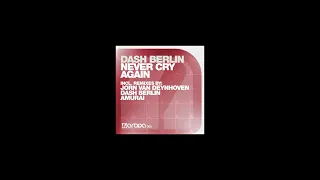 Dash Berlin - Never Cry Again (DISCOVIBES Remix Edit)