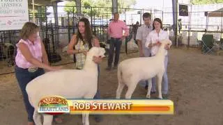 America's Heartland: Idaho Family's Sheep Ranch