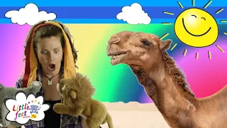 Alice the Camel | Kids Songs & Nursery Rhymes | Children's Video | 5, 4, 3, 2, 1 | Little Feet Music