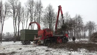 Измельчитель веток промышленный, дробилка веток, щепорез Eschlböck biber 84 MAN. Щепа