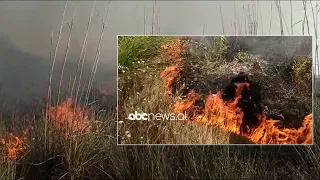 Zjarri në Tale, era e fortë favorizon përhapjen e flakëve | ABC News Albania