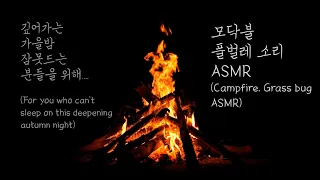 가을밤 ASMR - 가을밤의 야외 모닥불 타는 소리 2시간 연속재생 : 숙면, 홈캠핑