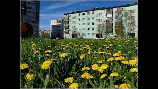 Сегодня в мире - Две остановки (Doomer version)