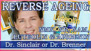 NMN OR NR? HOW TO REVERSE AGEING, MY RESULTS | NMN | NR / NIAGEN | LUTEOLIN | APIGENIN | NIACINAMIDE