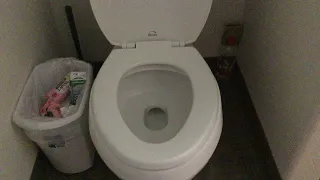 Flushing a Skibid toilet 2