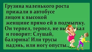 Грузина лицом прижали к высокой женщине прямо в подмышку. Анекдоты