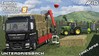 New chicken coop & rolling fields | Animals on Untergriesbach | Farming Simulator 19 | Episode 10