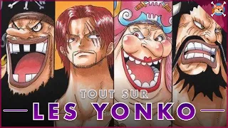 TOUS LES YONKO, leur histoire et leur pouvoir EXPLIQUÉS (Partie 1)  - One Piece Explication