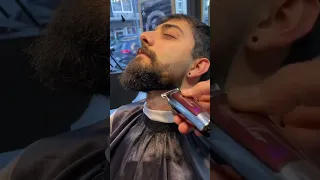 Тример Wahl Detailer