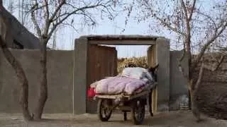 The Edge of the Bazaar: A short documentary about Uyghur rural life