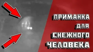 Приманка для Снежного человека | ФАКТ или ВЫМЫСЕЛ №153