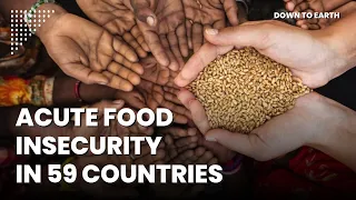 Global food crisis: 1 in 5 people in need of urgent action