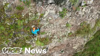 These Botanists Are Scaling Cliffs to Save Endangered Plants