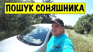 Бджільництво моє за місяць 🐝 Насос для роздачі сиропа