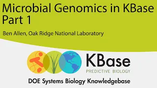 Microbial Genomics in KBase Part 1: Drafting and Improving Isolate Genomes