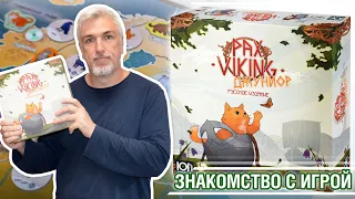 Знакомство с настольной игрой "PAX VIKING ДЖУНИОР"