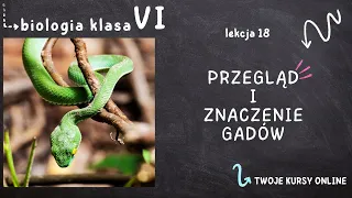 Biologia klasa 6 [Lekcja 18 - Przegląd i znaczenie gadów]