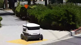 I Robot. I delivered pizza.