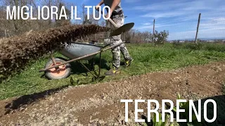 ORTO • COME MIGLIORARE IL TUO TERRENO