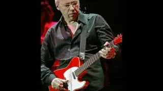 Mark Knopfler Cannibals live @ Ahoy