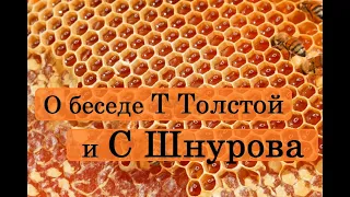 О беседе Татьяны Толстой и Сергея Шнурова