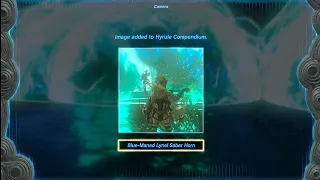 Lore Accurate Link Is Actually The Demon Of Hyrule