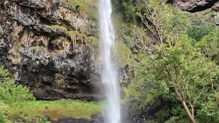 Heartshaped Waterfall   St. Helena Island (View from the bottom )