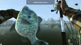 Fishing Planet. Уникальный Красноухий Солнечник  Калифорния