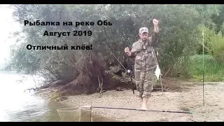 Рыбалка на Оби. Отличный клёв!!! Feeder fishing