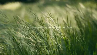 Sonnet 18: Shall I Compare Thee to a Summer's Day? a poem by  Shakespeare | A Micro Film