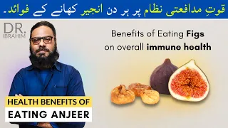 Anjeer/Injeer Ke Faide/Fayde - Benefits Of Eating Figs On Immune Health in Urdu/Hindi | Dr. Ibrahim