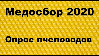 Большой опрос пчеловодов о медосборе 2020