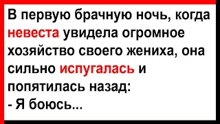 Невеста сильно испугалась огромного хозяйства своего жениха... Анекдоты! Юмор! Позитив!