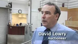 TEXEL AUCTION VIDEO 1 Final