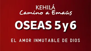 Oseas 5 y 6 | La corrección de Dios a la apostasía de su pueblo.