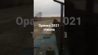 Трактор мтз 80 плуг бомет 3 30 оранка