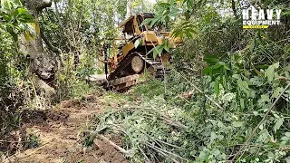 Good Work!! Caterpillar D6R XL Bulldozer Operators Open New Roads in Residents' Plantations