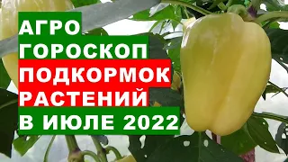 Агрогороскоп подкормок растений в июле 2022 года