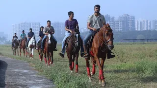 P.P Savani Horse Riding Club Surat || #kathiyawadi  & Marwari Horses || - The horses of india