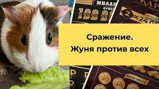 Все или ничего сражение. Жунька