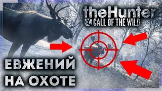 В поисках Трофея.Евжений на Охоте.theHunter: Call of the Wild