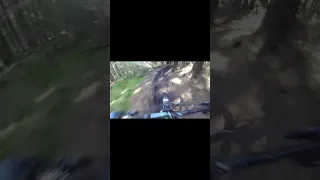 My Favourite GoPro Angle for Mountain Bike Videos - Innerleithen MTB Trails on the Bird Aeris