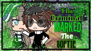 ✨The Criminal Marked The Softie💕 || GLMM (glmm) || Gacha Life Mini Movie