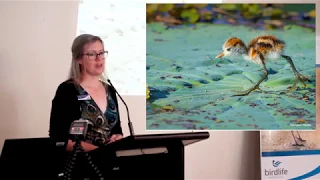 The status of birds in Western Australia – Dr Tegan Douglas, BirdLife Australia