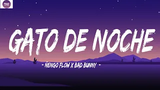 Ñengo Flow x Bad Bunny - Gato de Noche (Letra/Lyrics) | Mix