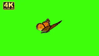 Butterfly black screen, butterfly green screen, butter fly animation video, yellow butterfly flying