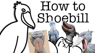 Your Life as a Shoebill