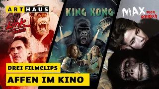 Drei tolle Affenfilme, die es im Kino geschafft haben!